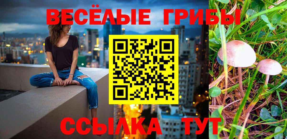 Усинск  Псилоцибиновые грибы прущие грибы  Вход с VPN  Галлюциногенные грибы Psilocybe 