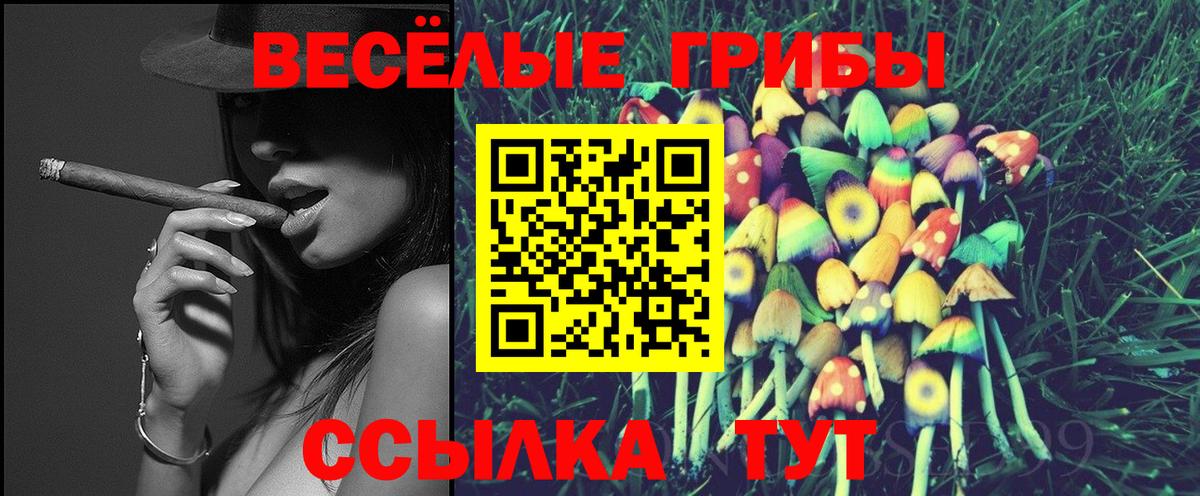 Галлюциногенные грибы Cubensis Усинск